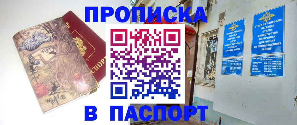 пропишу в квартире в Ингушетии